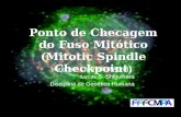 Ponto de Checagem do Fuso Mitótico (Mitotic Spindle Checkpoint ) Monitores: Lisiane DallAgnol Lucas S. Shiguihara Disciplina de Genética Humana.