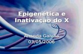 Epigenética e Inativação do X Ananda Galvão 03/05/2006.