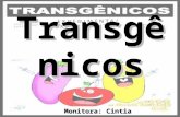 Transgênicos Monitora: Cintia. Conceito Transgênicos ou OGMs são organismos manipulados geneticamente, de modo a fornecer características desejadas pelo.