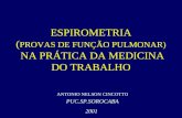 ESPIROMETRIA ( PROVAS DE FUNÇÃO PULMONAR) NA PRÁTICA DA MEDICINA DO TRABALHO ANTONIO NELSON CINCOTTO PUC.SP.SOROCABA 2001.