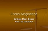 Força Magnética Colégio Dom Bosco Prof. Zé Godinho.