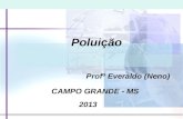 Poluição Profº Everaldo (Neno) CAMPO GRANDE - MS 2013.