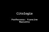 Citologia Professora: Francine Mariotti Citoplasma (Hialoplasma + Organelas)