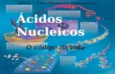 Ácidos Nucleicos O código da Vida. São substâncias que regulam os processos vitais no interior de todos os organismos e, por isso são consideradas as.