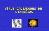 VÍRUS CAUSADORES DE DIARRÉIAS. Contaminação ambiental Bactérias (30% dos casos) Vírus (67% dos casos) Protozoários (3% dos casos) Dados da WHO: Em muitos.