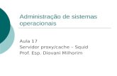 Administração de sistemas operacionais Aula 17 Servidor proxy/cache – Squid Prof. Esp. Diovani Milhorim.