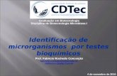 Identificação de microrganismos por testes bioquímicos Prof. Fabricio Rochedo Conceição fabricio.rochedo@ufpel.edu.br fabriciorc@pop.com.br 4 de novembro.