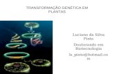 TRANSFORMAÇÃO GENÉTICA EM PLANTAS Luciano da Silva Pinto Doutorando em Biotecnologia ls_pinto@hotmail.com.