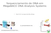 Sequenciamento de DNA em MegaBACE DNA Analysis Systems Prof. Dr. Luciano da Silva Pinto TGTGAACACACGTGTGGATTGG... ls_pinto@hotmail.com.