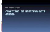 Prof. Vinicius Campos. O que é a Biotecnologia Animal? Tudo em Biotecnologia? Utiliza o animal para a geração de um produto que não é o próprio animal.
