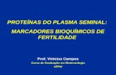 PROTEÍNAS DO PLASMA SEMINAL: MARCADORES BIOQUÍMICOS DE FERTILIDADE Prof. Vinicius Campos Curso de Graduação em Biotecnologia UFPel.