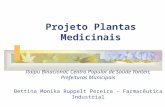 Projeto Plantas Medicinais Itaipu Binacional; Centro Popular de Saúde Yanten; Prefeituras Municipais Bettina Monika Ruppelt Pereira - Farmacêutica Industrial.