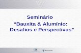 Seminário Bauxita & Alumínio: Desafios e Perspectivas.