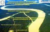 UNIVERSIDADE FEDERAL DO AMAZONAS CENTRO DE DESENVOLVIMENTO ENERGÉTICO AMAZÔNICO - CDEAM WORKSHOP ENERGIA PARA O DESENVOLVIMENTO DA REGIÃO NORTE QUADRO.