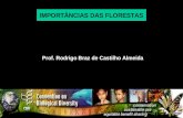 Prof. Rodrigo Braz de Castilho Almeida IMPORTÂNCIAS DAS FLORESTAS.