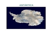 ANTÁRTICA. A Antártica uma das últimas grandes fronteiras. 14 milhões km2 É a mais fria e a mais remota, mais desconhecida e o mais preservada de todos.
