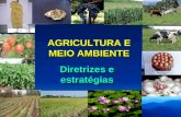 AGRICULTURA E MEIO AMBIENTE Diretrizes e estratégias.
