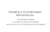 Shading e Coordenadas Baricêntricas Computação Gráfica Luiz Marcos Garcia Gonçalves  lmarcos/courses/compgraf