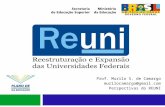 Prof. Murilo S. de Camargo murilocamargo@gmail.com Perspectivas do REUNI.