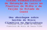 Estudo Probabilístico de Obtenção de Lucro em Plantios de Milho e de Feijão no Estado do Ceará - Uma abordagem sobre Gestão de Risco Climático na Agricultura.