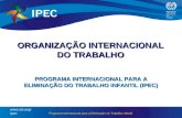 Organização Internacional do Trabalho  Programa Internacional para a Eliminação do Trabalho Infantil ORGANIZAÇÃO INTERNACIONAL DO TRABALHO.