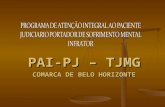 PAI-PJ – TJMG COMARCA DE BELO HORIZONTE. Portador de sofrimento mental que está respondendo a processo criminal.