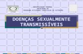 DOENÇAS SEXUALMENTE TRANSMISSÍVEIS UNIVERSIDADE FEDERAL FACULDADE DE PROGRAMA ATIVIDADE CURRICULAR DE EXTENSÃO.