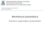 Membrana plasmática Estrutura, organização e propriedades UNIVERSIDADE FEDERAL DA BAHIA INSTITUTO DE BIOLOGIA DEPARTAMENTO DE BIOLOGIA GERAL Disciplina: