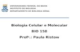 UNIVERSIDADE FEDERAL DA BAHIA INSTITUTO DE BIOLOGIA DEPARTAMENTO DE BIOLOGIA GERAL Biologia Celular e Molecular BIO 158 Prof a.: Paula Ristow.