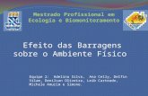 Efeito das Barragens sobre o Ambiente Físico Equipe 2: Adelina Silva, Ana Celly, Delfin Vilam, Denilson Oliveira, Leib Carteado, Michele Amurim e Simone.