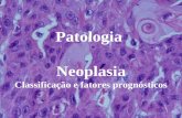 Patologia Neoplasia Classificação e fatores prognósticos.
