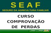 SEGURO DA AGRICULTURA FAMILIAR CURSO COMPROVAÇÃO DE PERDAS S E A F SEGURO DA AGRICULTURA FAMILIAR.