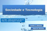 Sociedade e Tecnologia Flávio R. Rosseto Camila C. Silvestre SLC 0567 – Prática do Ensino de Ciências Profa. Dra. Nelma Regina S. Bossolan.