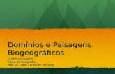 Domínios e Paisagens Biogeográficos ULBRA Canoas/RS Curso de Geografia Prof. Dr. Dakir Larara M. da Silva.