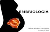 EMBRIOLOGIA Citologia, Histologia e Embriologia Vera Vargas, 2011