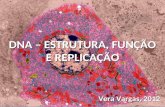 Vera Vargas, 2012 DNA – ESTRUTURA, FUNÇÃO E REPLICAÇÃO.