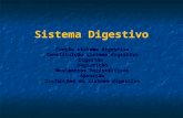 Sistema Digestivo Função sistema digestivo Constituição sistema digestivo DigestãoDeglutição Movimentos Peristálticos Absorção Disfunções do sistema digestivo.
