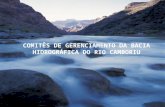 COMITÊS DE GERENCIAMENTO DA BACIA HIDROGRÁFICA DO RIO CAMBORIU.