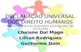 DECLARAÇÃO UNIVERSAL DOS DIREITO HUMANOS Resolução 1314 da Assembléia Geral da ONU, de 10/12/1948 Chaiane Dal Mago Líllian Rodrigues Guilherme Doin.