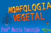 A morfologia vegetal, uma das bases da botânica, tem por objetivo estudar e documentar formas e estruturas das plantas. A morfologia vegetal, uma das.