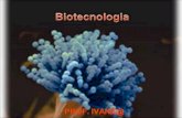 BIOTECNOLOGIA A biotecnologia é um processo tecnológico que permite a utilização de material biológico de plantas e animais para fins industriais. É o.
