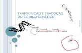 Prof IVAnéa 1. 2 Transcrição - Transcrição - cópia da seqüência de bases do DNA para uma cadeia complementar de RNAm, que é passado ao citoplasma. Esta.
