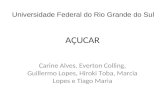 AÇUCAR Carine Alves, Everton Colling, Guillermo Lopes, Hiroki Toba, Marcia Lopes e Tiago Maria Universidade Federal do Rio Grande do Sul.