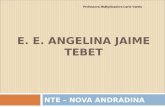 E. E. ANGELINA JAIME TEBET NTE – NOVA ANDRADINA Professora Multiplicadora Carla Varela.