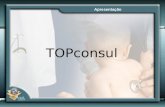 Apresentação TOPconsul. TOPconsul – Esquema geral.