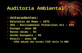 Auditoria Ambiental Antecedentes: Relatório de Roma – 1972 USA – Enviromental Protection Act – EPA Europa – anos 80 Reino Unido - 92 União Européia – 95.