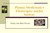 Plantas Medicinais e Fitoterapia: noções básicas Profa. Ana Rita Novaes.