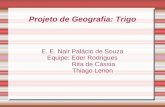 Projeto de Geografia: Trigo E. E. Nair Palácio de Souza Equipe: Eder Rodrigues Rita de Cássia Thiago Lenon.