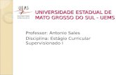 UNIVERSIDADE ESTADUAL DE MATO GROSSO DO SUL - UEMS Professor: Antonio Sales Disciplina: Estágio Curricular Supervisionado I