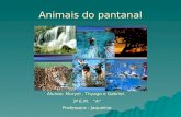 Animais do pantanal Alunos: Muryel, Thyago e Gabriel. 3º E.M. A Professora : Jaqueline.